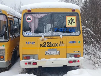 Транспортное средство Автобус для перевозки детей  ПАЗ 320538-70,  2008 года изготовления, идентификационный номер  (VIN) X1M3205CZ80000726